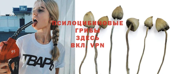 гашик Волосово